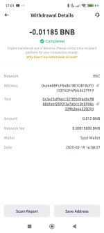 Screenshot_2025-02-19-17-01-33-325_com.binance.dev.jpg